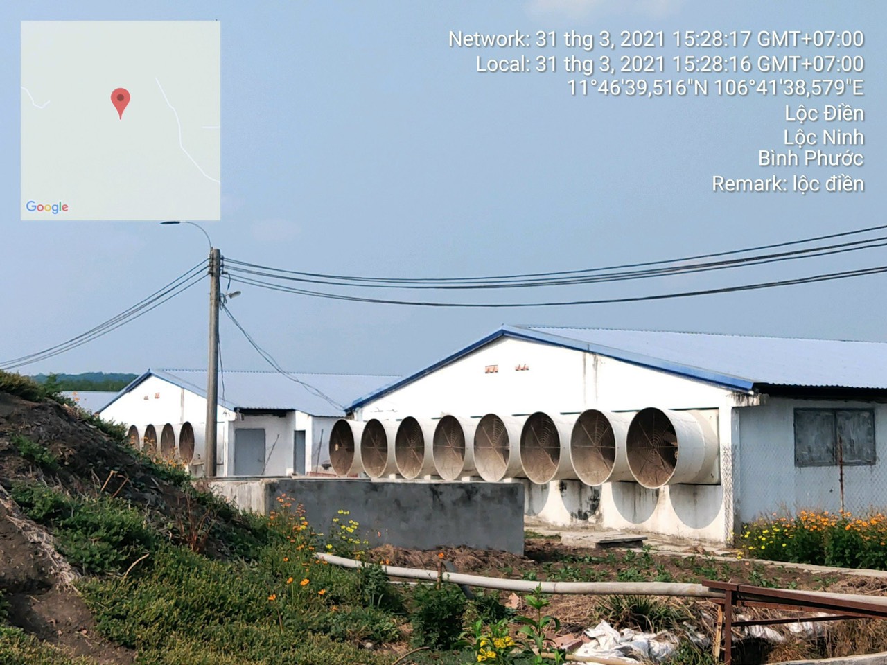 Cho thuê trang trại